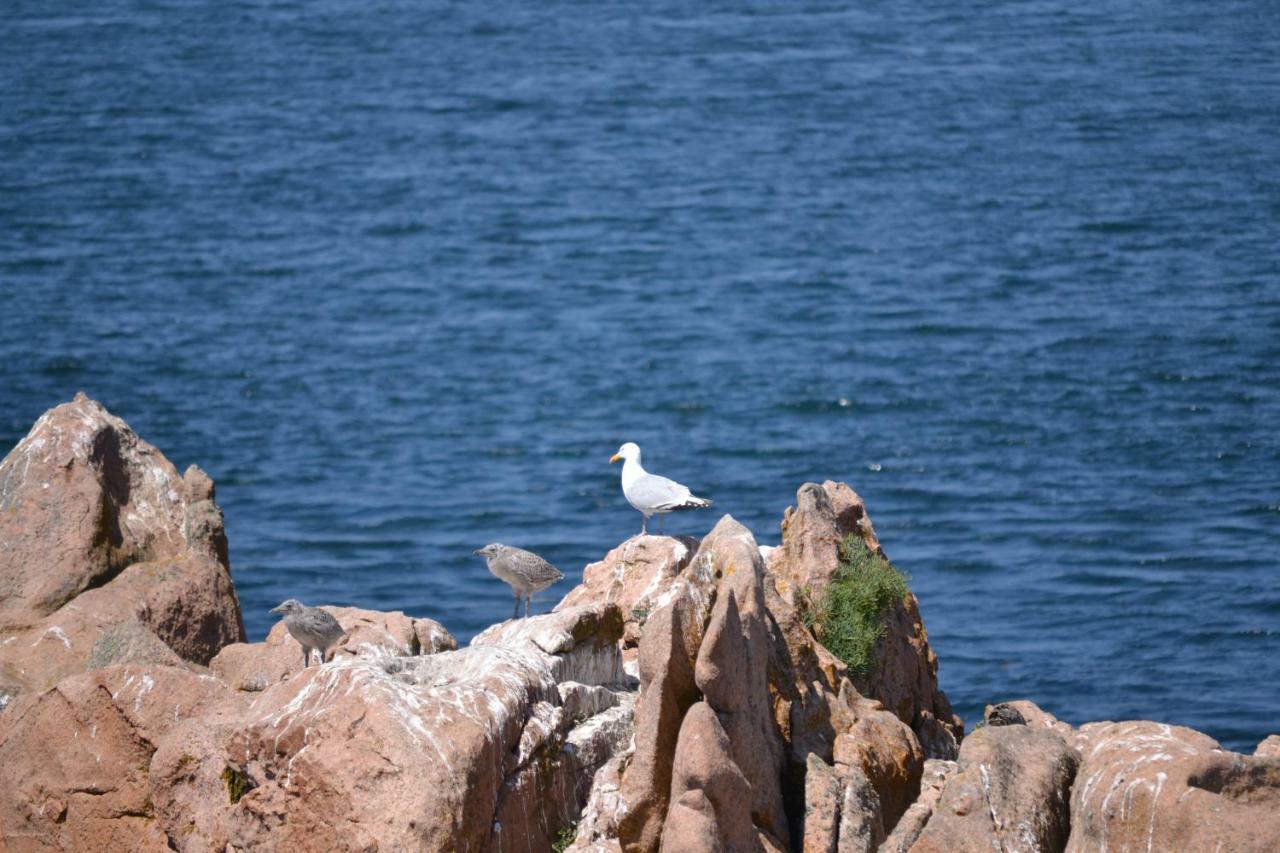 Gite De La Marina Dans La Presqu'Ile De Lezardrieux ภายนอก รูปภาพ